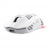 Trust GXT 929 Helox mouse Gaming Right-hand RF Wireless Optical 4800 DPI