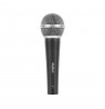 DM-80 Microphone