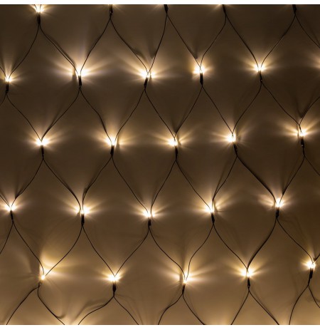 Rebel outdoor Christmas lights - network