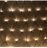 Rebel outdoor Christmas lights - network