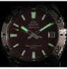 Orient Mako Automatic RA-AC0Q09R30B