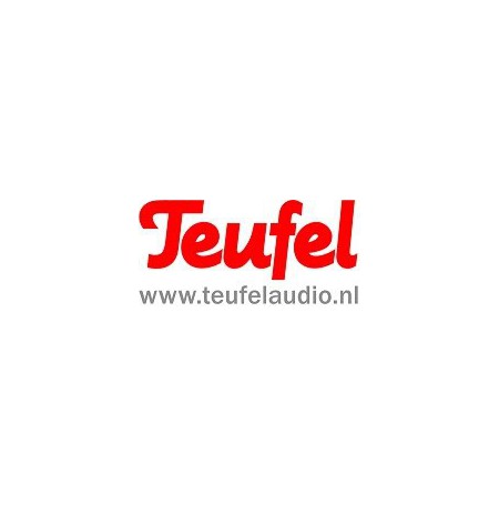 Teufel MOTIV GO VOICE Wi-Fi Wireless Bluetooth Speaker silver white