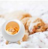Tellur Cat Night Light