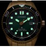 Citizen Promaster Marine Eco-Drive BN0262-59W
