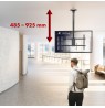 Maclean ceiling mount for TV, max load 60kg, 43-86", max VESA 600x400, MC-112 B