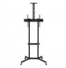 Maclean TV stand / cart, camera shelf, on wheels, 37-70", max load 45kg/5kg shelf, max. VESA 600x400, MC-113 B