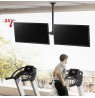Maclean ceiling mount for two TVs, max load 2x40kg, 34-60", max VESA 600x400, MC-111 B