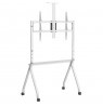 Maclean TV stand / cart, camera shelf, on casters, 55-100", max load 120kg/10kg shelf, max. VESA 900x600, white, MC-114 W