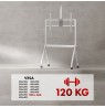Maclean TV stand / cart, camera shelf, on casters, 55-100", max load 120kg/10kg shelf, max. VESA 900x600, white, MC-114 W