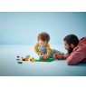 LEGO DUPLO CLASSIC 10460