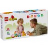 LEGO DUPLO 10412 ANIMAL TRAIN