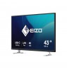 Monitor EIZO 108cm (42.5") EV4340X-BK