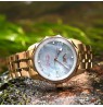 Vostok Europe Vilnelė Diamond VS42-125B754BRRG-SLBD
