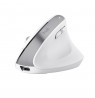 Trust Bayo+ mouse Office Right-hand RF Wireless + Bluetooth Optical 2400 DPI