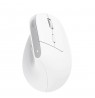 Trust Bayo+ mouse Office Right-hand RF Wireless + Bluetooth Optical 2400 DPI