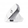 Trust Bayo+ mouse Office Right-hand RF Wireless + Bluetooth Optical 2400 DPI