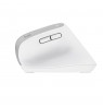 Trust Bayo+ mouse Office Right-hand RF Wireless + Bluetooth Optical 2400 DPI
