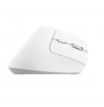 Trust Bayo+ mouse Office Right-hand RF Wireless + Bluetooth Optical 2400 DPI