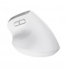Trust Bayo+ mouse Office Right-hand RF Wireless + Bluetooth Optical 2400 DPI