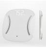Homedics SCL-LDB135-SV3R Essential XL Display Body Weight Scale