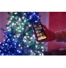 TWINKLY Strings 250 Special Edition (TWS250SPP-BEU) Smart Christmas tree lights 250 LED RGB+W 20 m