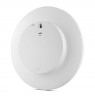 Braun BC17W sieninis kvarcinis laikrodis