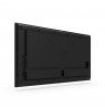 AG NEOVO MONITOR 43 QM-5503 4K UHD 3840X2160  HDMI 5000:1 24/7, 500 cd/m2, RS232,RJ45, Anti-Burn-In, USB-play