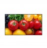 AG NEOVO MONITOR 43 QM-5503 4K UHD 3840X2160  HDMI 5000:1 24/7, 500 cd/m2, RS232,RJ45, Anti-Burn-In, USB-play