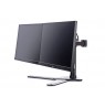 iiyama The DS1002D-B1 is a desk mount stand for two flat screens up to 30”