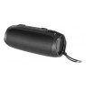 Bluetooth kolonėlė STREETZ, 2x10W, AUX, micro SD lizdas, juoda / S350-BLK / 6612034