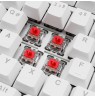 Sharkoon SGK25 keyboard Home USB QWERTZ German White