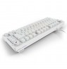 Sharkoon SGK25 keyboard Home USB QWERTZ German White