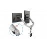 Digitus Universal Dual Desktop Monitor Mount with gas spring and clamp mount