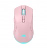 Baracuda BGM-124 Turtle Pink