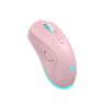 Baracuda BGM-124 Turtle Pink