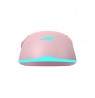 Baracuda BGM-124 Turtle Pink
