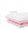 Baracuda BGK-03221 Dolphin White US Mechanical Blue Switches