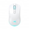 Baracuda BGM-122 Turtle White
