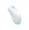 Baracuda BGM-122 Turtle White