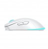Baracuda BGM-122 Turtle White