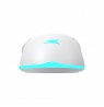 Baracuda BGM-122 Turtle White
