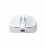 Baracuda BGM-122 Turtle White