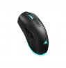 Baracuda BGM-121 Turtle Black