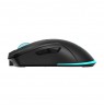 Baracuda BGM-121 Turtle Black