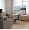 Maclean universal TV stand, for RTV cabinet, stand, max. 40kg, max. VESA 400x400, height and angle adjustment, for 32-65" TV,