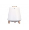 Blaupunkt BT25LAMP