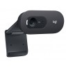 Logitech C505 HD Webcam