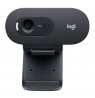 Logitech C505 HD Webcam