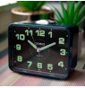 Casio TQ-218-2EF žadintuvas