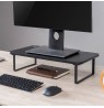 Maclean MC-933 Monitor/Laptop stand, max. 20kg, (500x260x122mm)